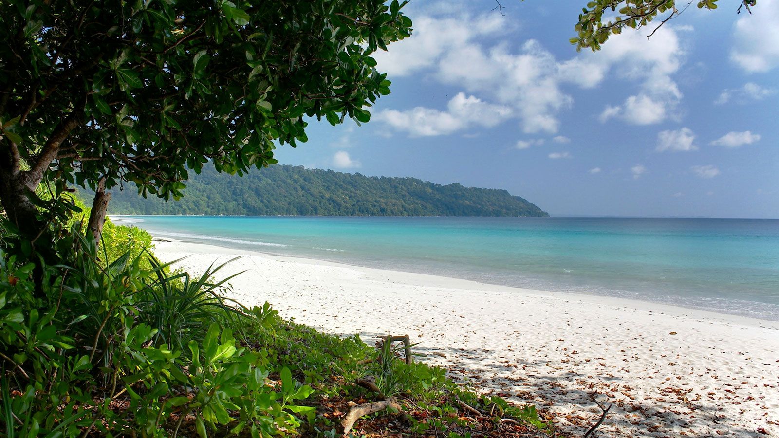 Best of Andaman 